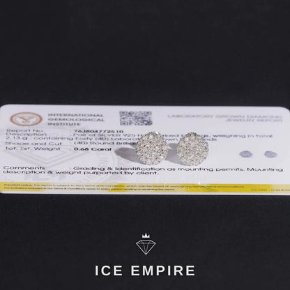 Iced Out Rose Gold Plated Earrings