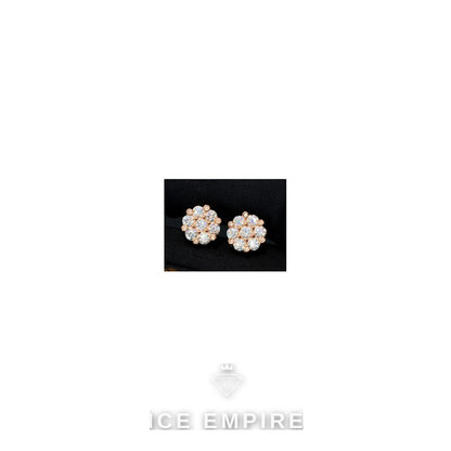 Iced Out 925 Silver Moissanite Stud Earrings